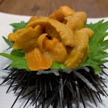 Uni(sea urchin)