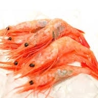 Ama ebi (pink shrimp)