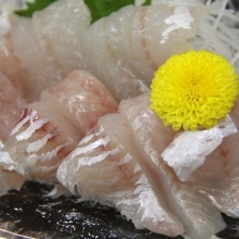 Rosy seabass (sashimi)