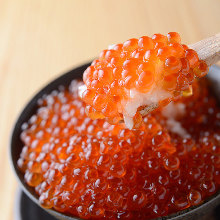 Salmon roe rice bowl