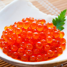 Ikura(salmon roe)