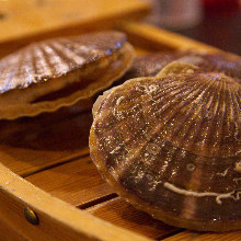 Scallop sashimi