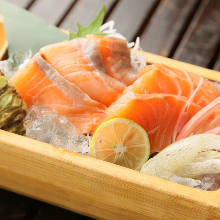 Salmon sashimi