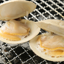 Grilled common orient clams