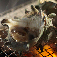 Grilled turban shell