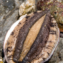 Grilled dancing abalone