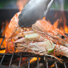 Salted and grilled Japanese tiger prawn