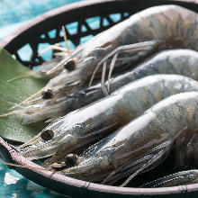 Salted and grilled shrimp