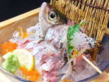 Live horse mackerel sashimi