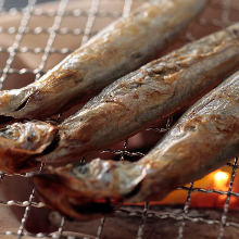 Seared shishamo smelt