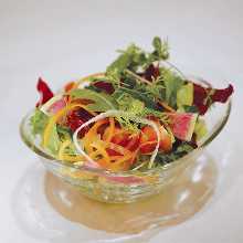 10 Varieties of Veg Garden Salad