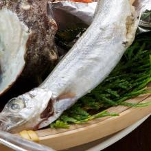 Seared shishamo smelt