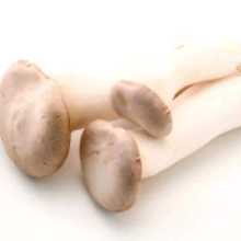 Eringi Mushrooms