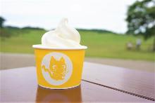 Vanilla soft serve ice cream