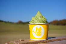 Seasonal soft serve ice cream