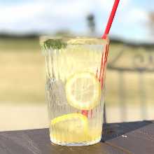 Mori no Lemonade Squash