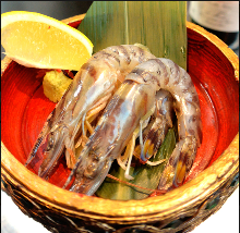 Live Japanese tiger prawn sashimi