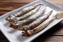 Seared shishamo smelt