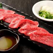 (Our Top Recommendation) Signature Kikyo Radish Grate