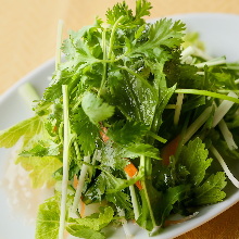 Coriander salad