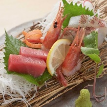 Assorted sashimi of the day, 3 kinds