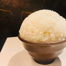 Rice