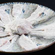 Puffer fish skin
