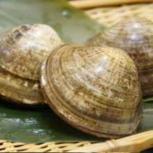 Grilled common orient clams
