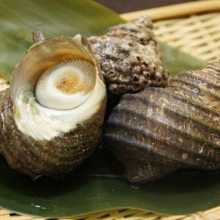 Grilled turban shell