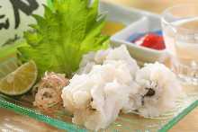 Parboiled conger myriaster