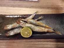 Grilled shishamo smelt