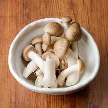 Shimeji mushrooms