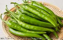 Green chili pepper