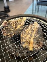 Grilled oysters