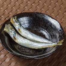 Shishamo smelt with roe