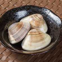 Hamayaki clams (grilled clams)