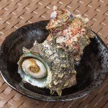 Grilled turban shell