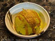 Blacksugarsoybeanmatcha