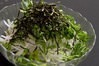 Daikon radish and mizuna salad
