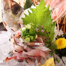 Live horse mackerel sashimi