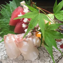 Sashimi