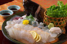 Live olive flounder sashimi