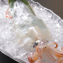 Squid sashimi