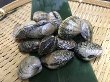 Manila clams steamed with sake