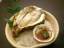 Raw oyster