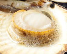 Grilled live scallop