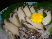 Abalone sashimi