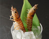 Salted and grilled Japanese tiger prawn