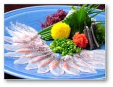 Sashimi