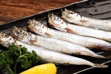 Grilled shishamo smelt